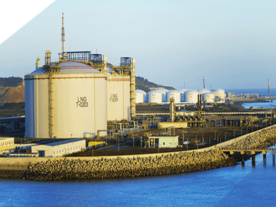 上海液（yè）化天（tiān）然氣有限責任公司